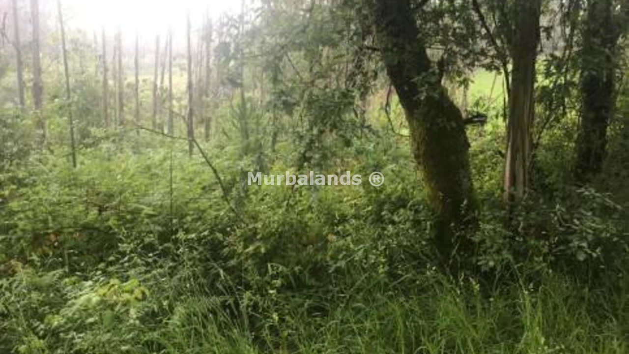 Foto de un terreno o una obra parada para mostrar en el detalle del inmueble
