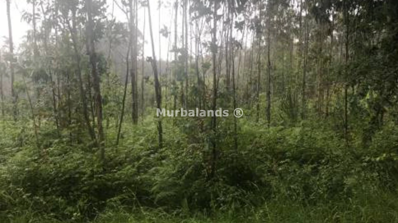 Foto de un terreno o una obra parada para mostrar en el detalle del inmueble