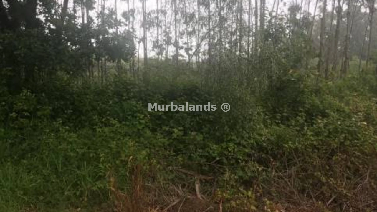 Foto de un terreno o una obra parada para mostrar en el detalle del inmueble