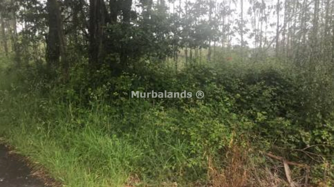 Foto de un terreno o una obra parada para mostrar en el detalle del inmueble