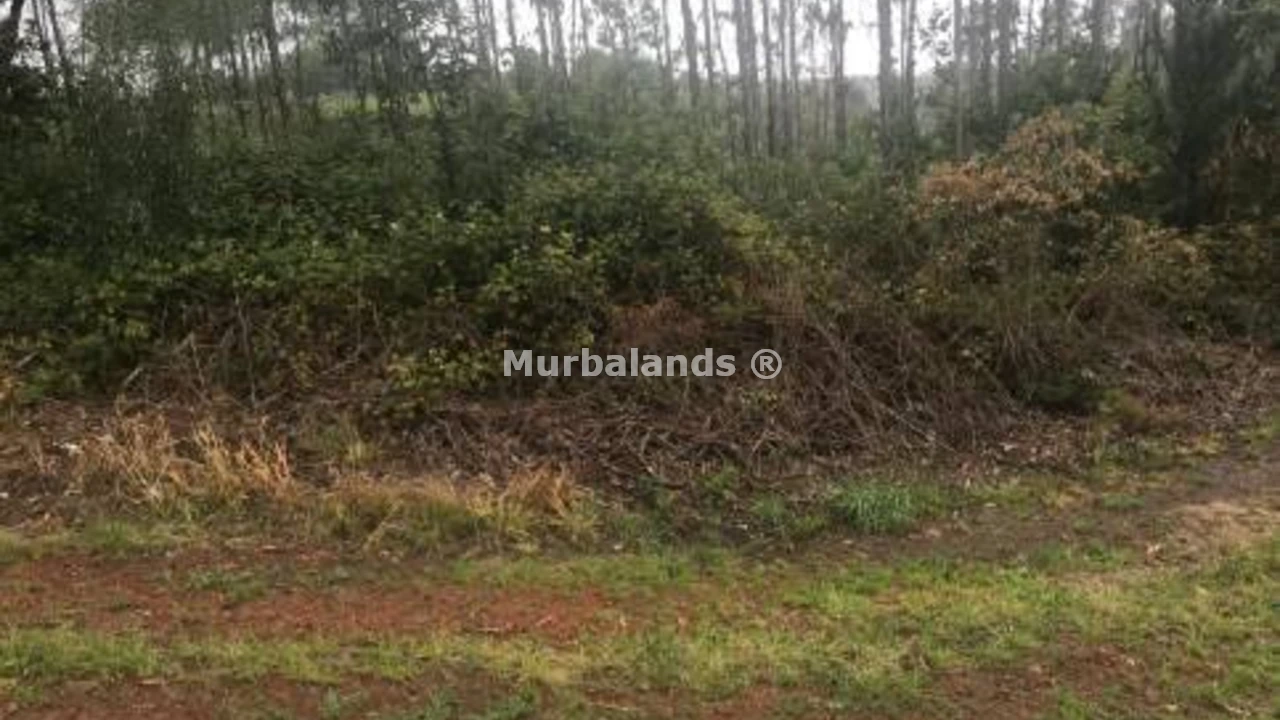 Foto de un terreno o una obra parada para mostrar en el detalle del inmueble