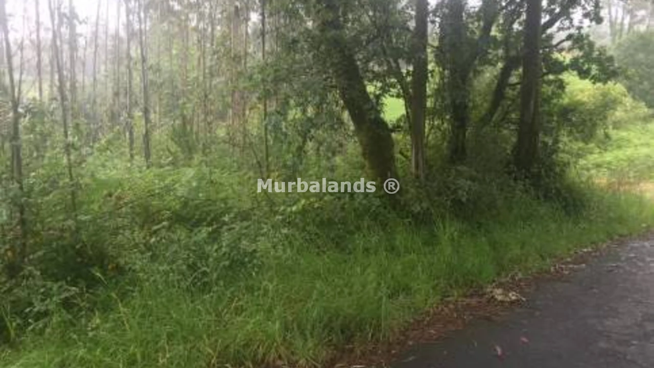 Foto de un terreno o una obra parada para mostrar en el detalle del inmueble