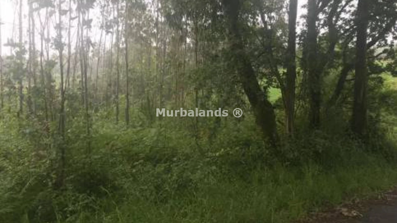 Foto de un terreno o una obra parada para mostrar en el detalle del inmueble