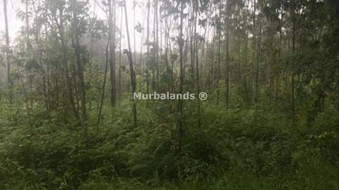 Foto de un terreno o una obra parada para mostrar en el detalle del inmueble