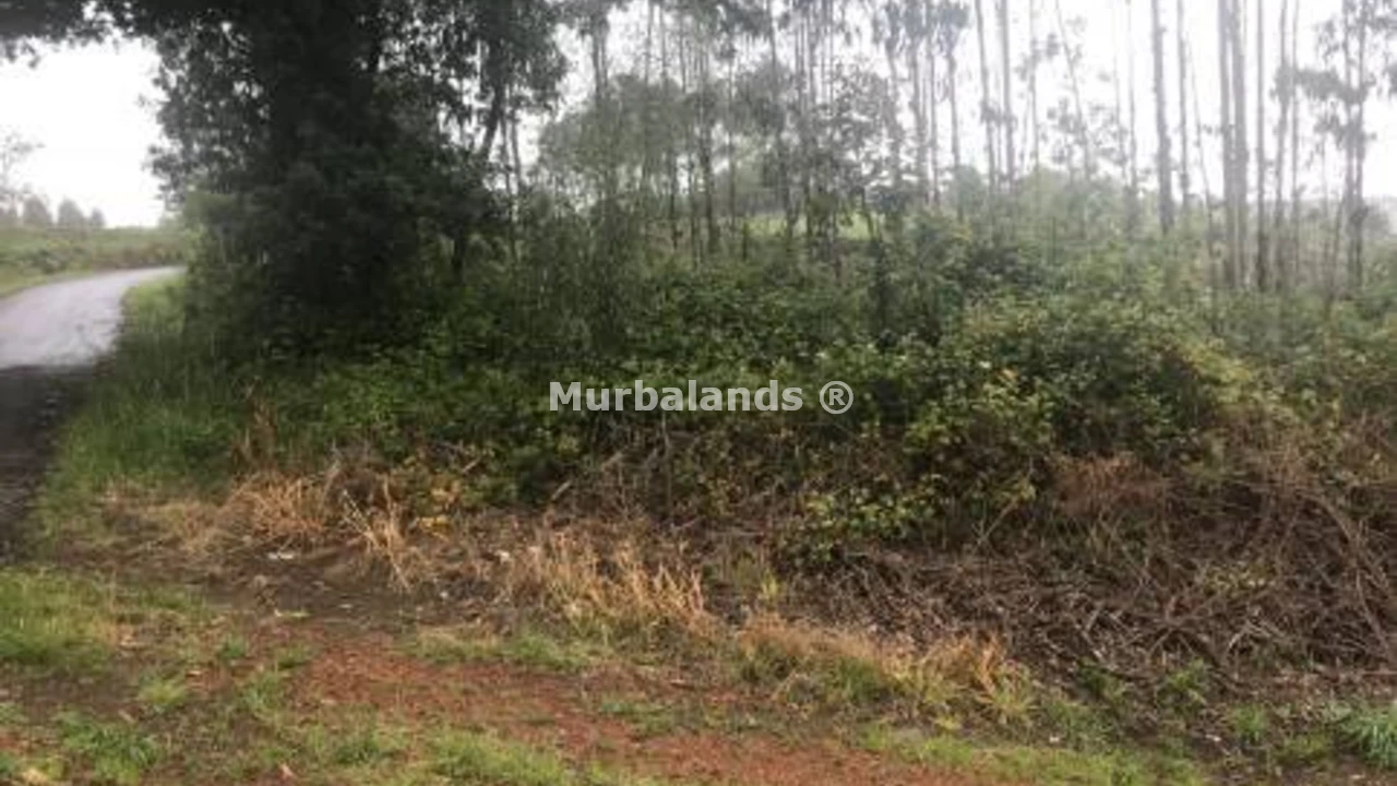 Foto de un terreno o una obra parada para mostrar en el detalle del inmueble