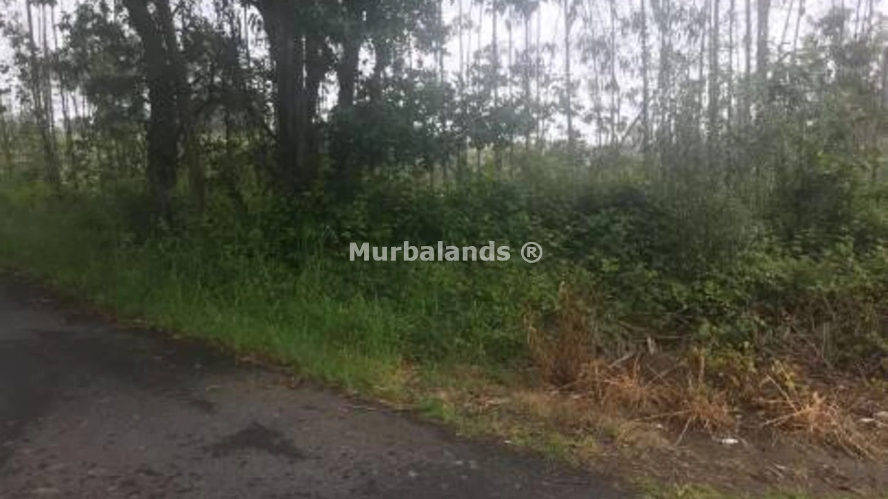 Foto de un terreno o una obra parada para mostrar en el detalle del inmueble