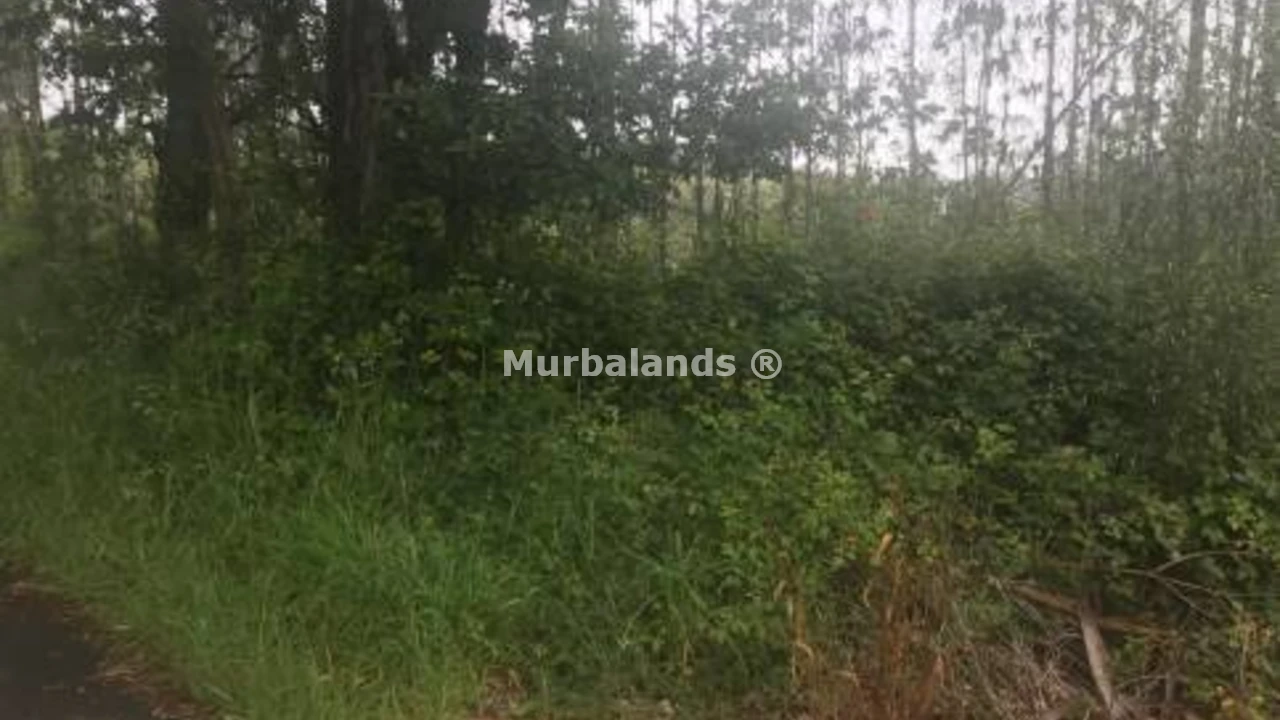 Foto de un terreno o una obra parada para mostrar en el detalle del inmueble