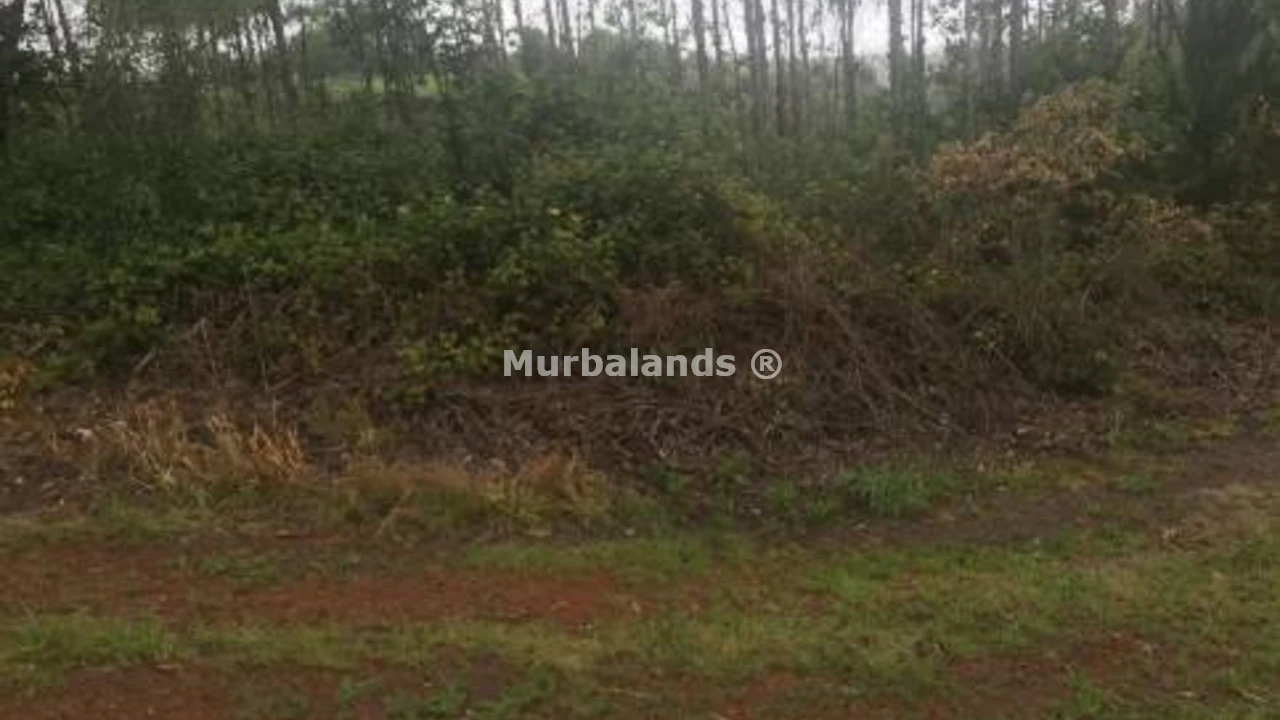 Foto de un terreno o una obra parada para mostrar en el detalle del inmueble