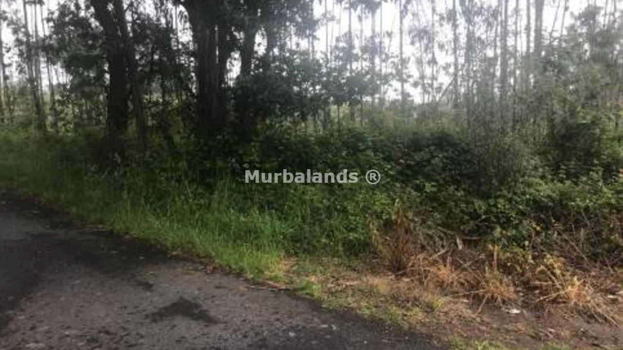 Foto de un terreno o una obra parada para mostrar en el detalle del inmueble
