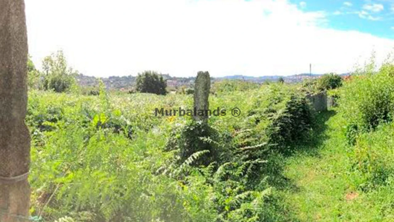 Foto de un terreno o una obra parada para mostrar en el detalle del inmueble