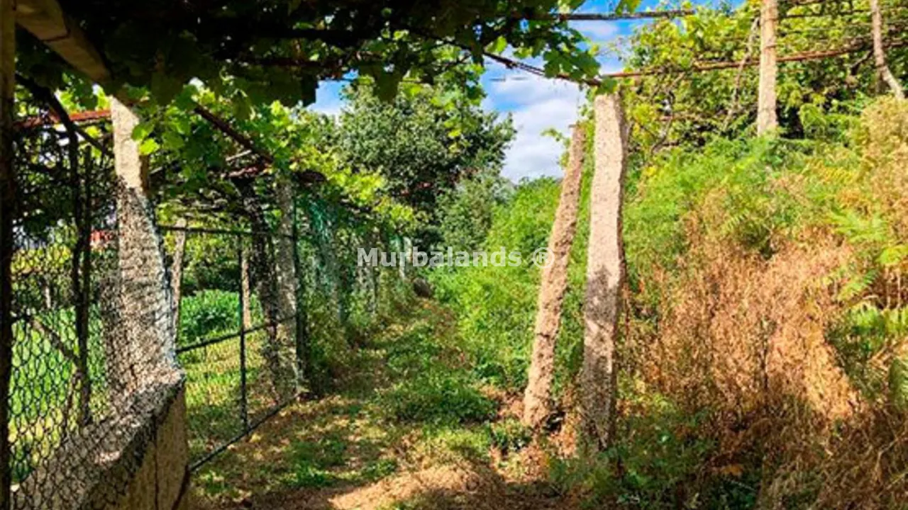 Foto de un terreno o una obra parada para mostrar en el detalle del inmueble