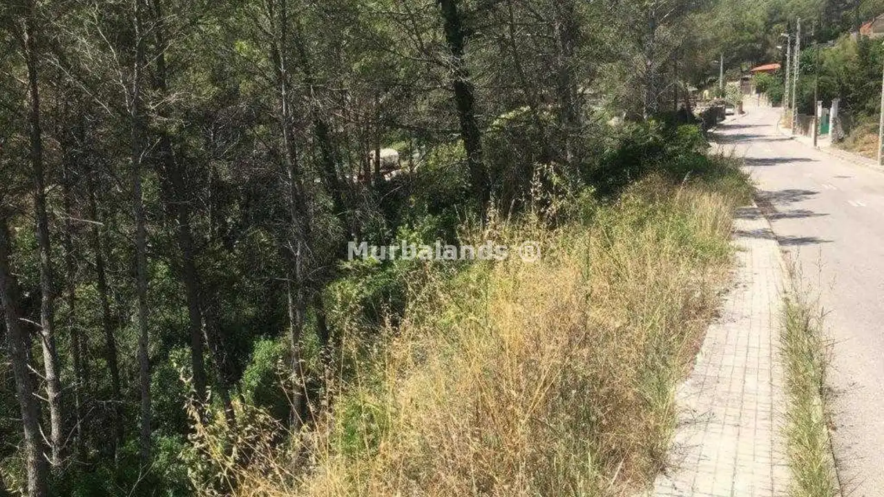 Terreno destacado