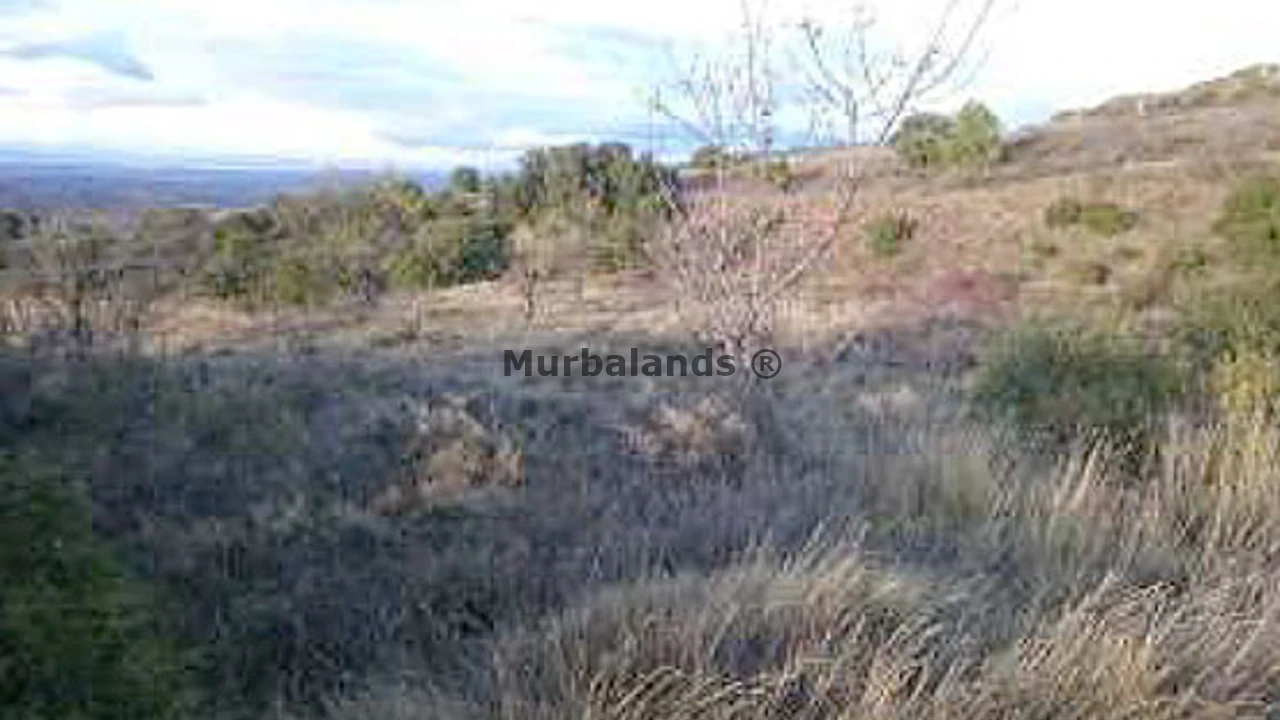 Terreno destacado