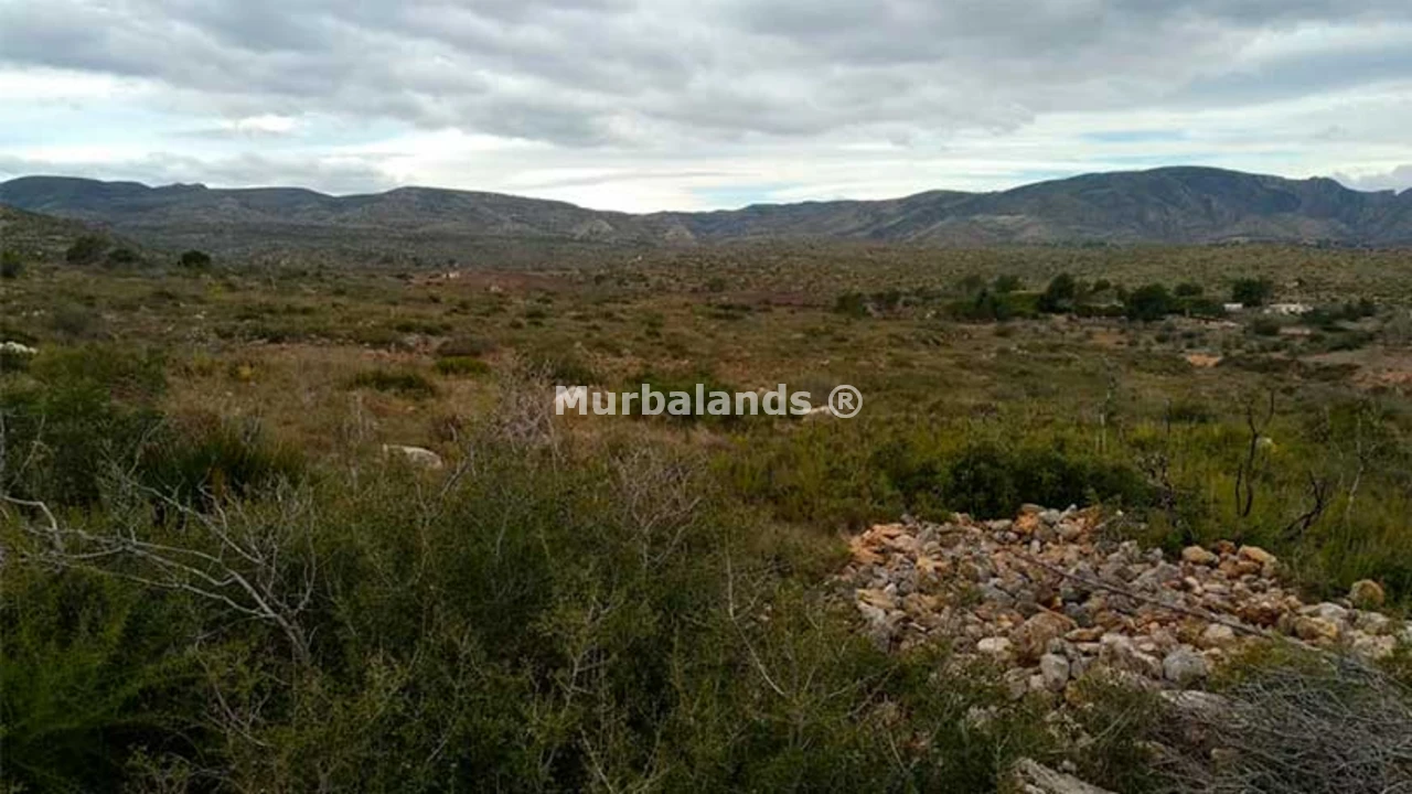Foto de un terreno o una obra parada para mostrar en el detalle del inmueble