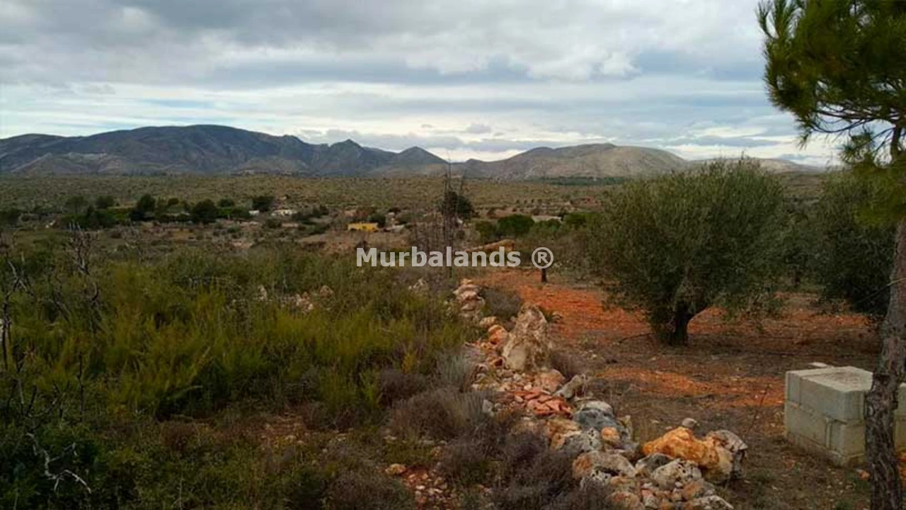 Foto de un terreno o una obra parada para mostrar en el detalle del inmueble