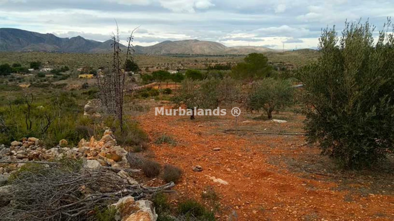 Foto de un terreno o una obra parada para mostrar en el detalle del inmueble