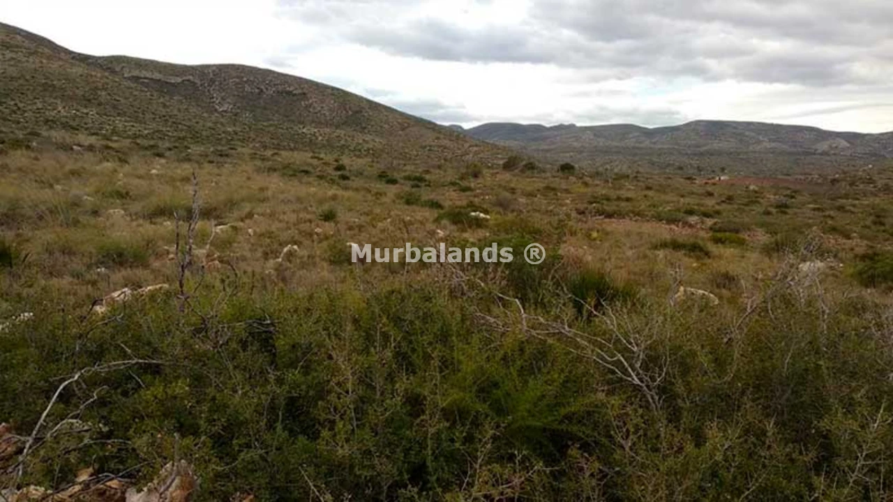 Foto de un terreno o una obra parada para mostrar en el detalle del inmueble