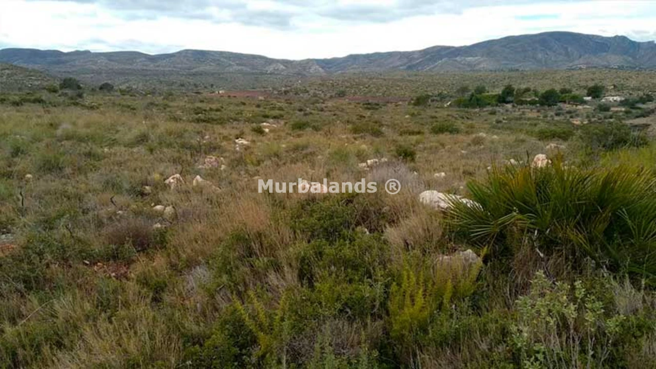 Foto de un terreno o una obra parada para mostrar en el detalle del inmueble