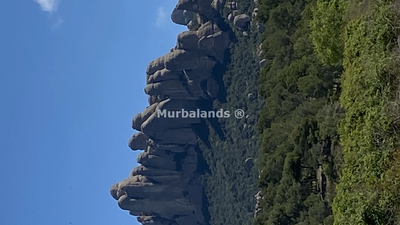 Foto de un terreno o una obra parada para mostrar en el detalle del inmueble