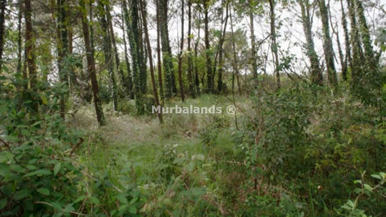 Foto de un terreno o una obra parada para mostrar en el detalle del inmueble