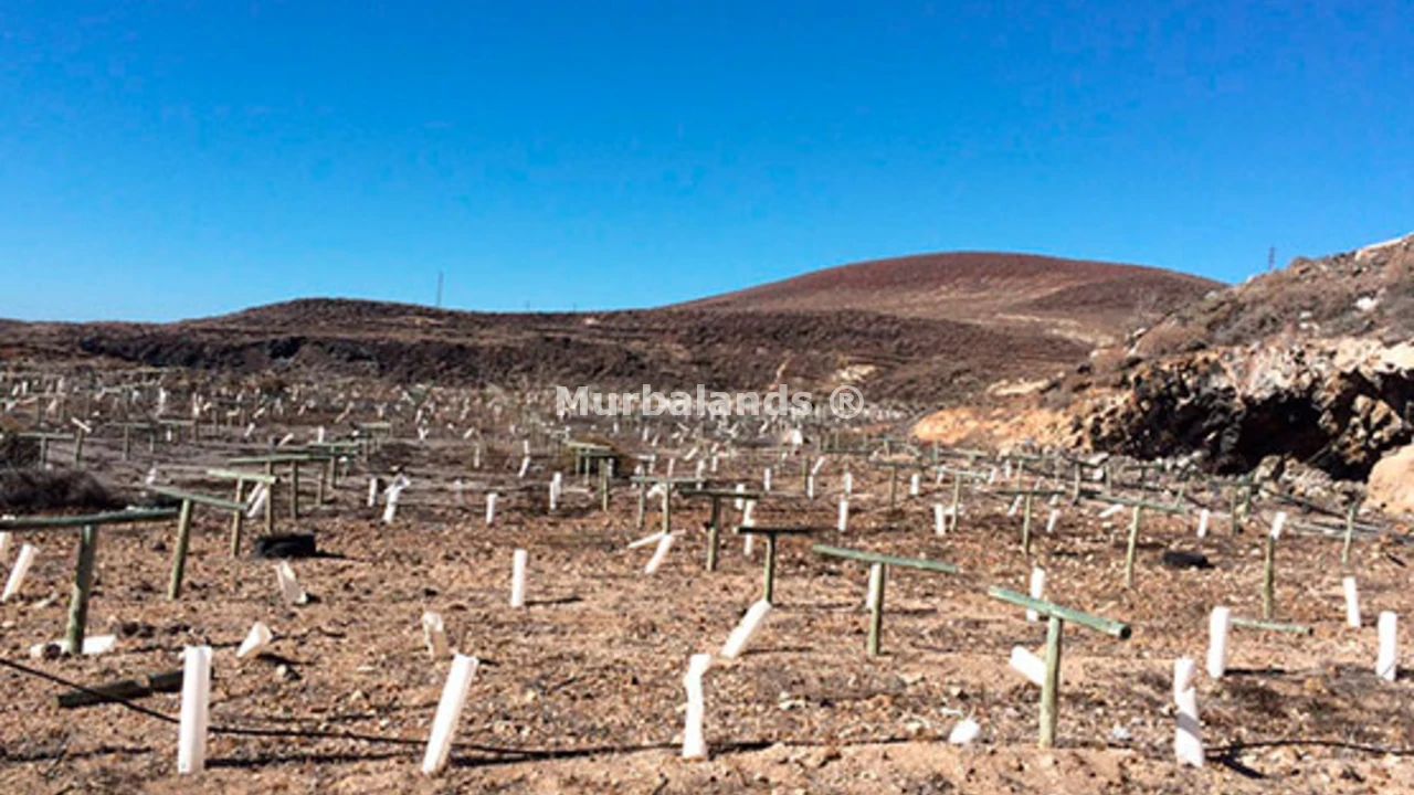 Foto de un terreno o una obra parada para mostrar en el detalle del inmueble