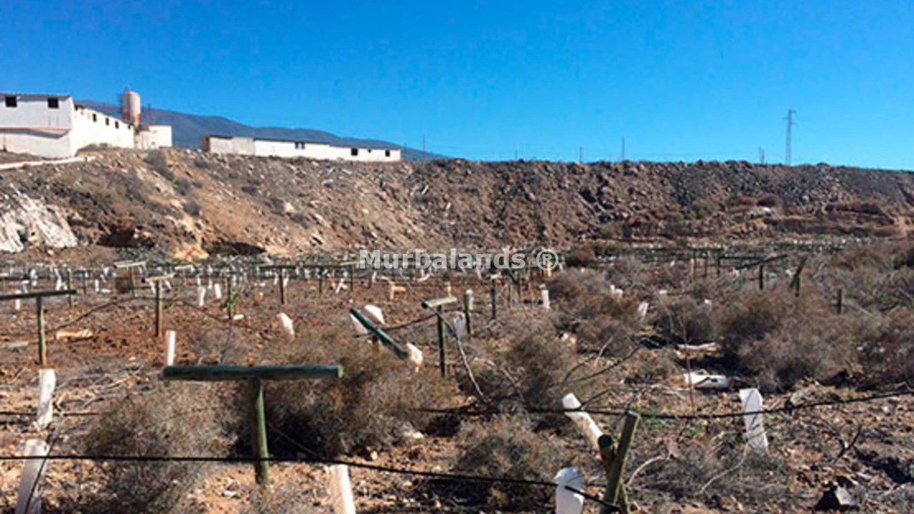 Foto de un terreno o una obra parada para mostrar en el detalle del inmueble