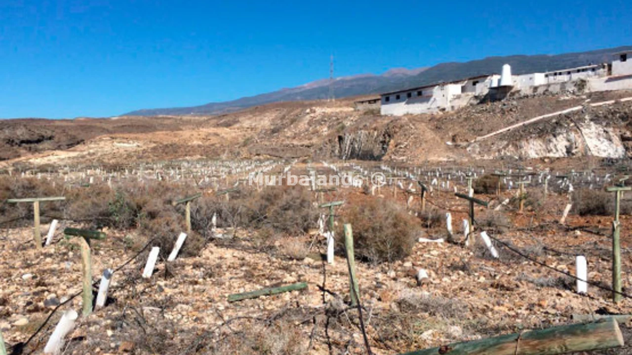 Foto de un terreno o una obra parada para mostrar en el detalle del inmueble