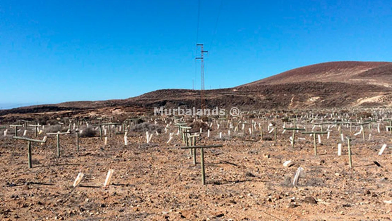 Foto de un terreno o una obra parada para mostrar en el detalle del inmueble