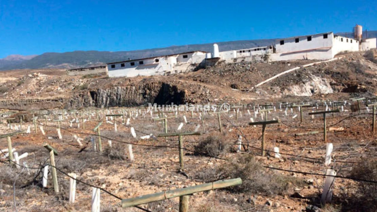 Foto de un terreno o una obra parada para mostrar en el detalle del inmueble