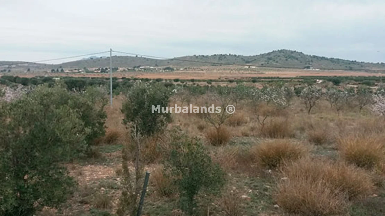 Foto de un terreno o una obra parada para mostrar en el detalle del inmueble