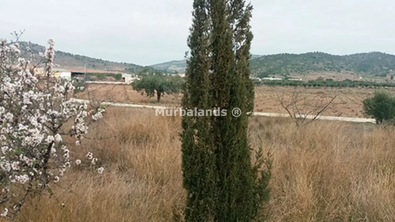 Foto de un terreno o una obra parada para mostrar en el detalle del inmueble