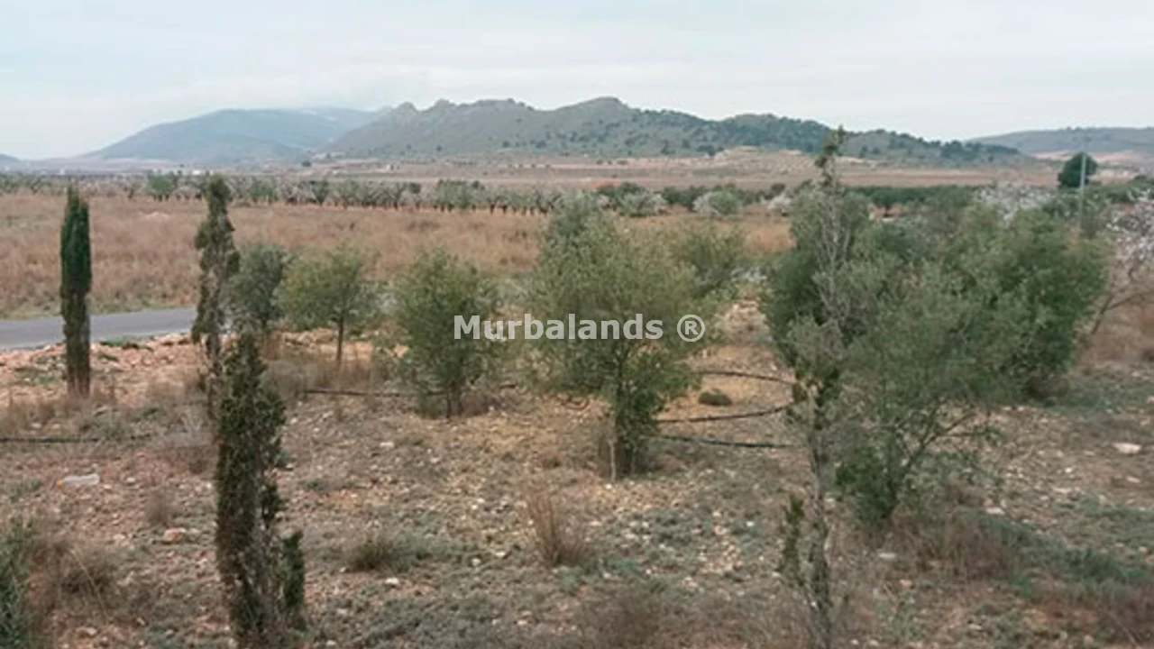 Foto de un terreno o una obra parada para mostrar en el detalle del inmueble