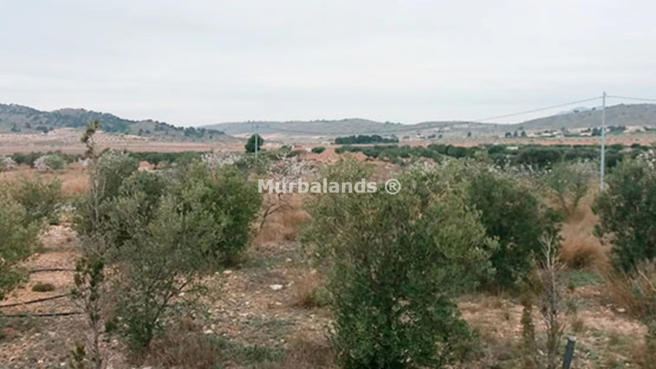 Foto de un terreno o una obra parada para mostrar en el detalle del inmueble