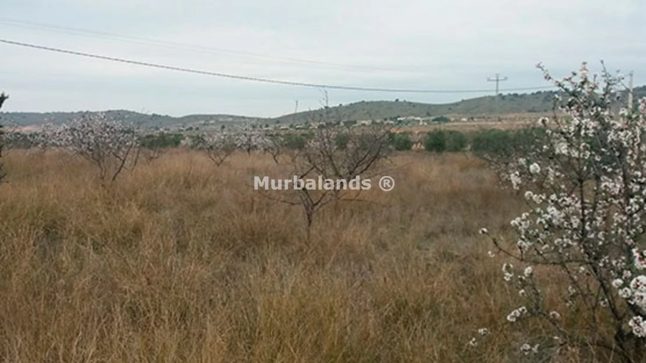 Foto de un terreno o una obra parada para mostrar en el detalle del inmueble