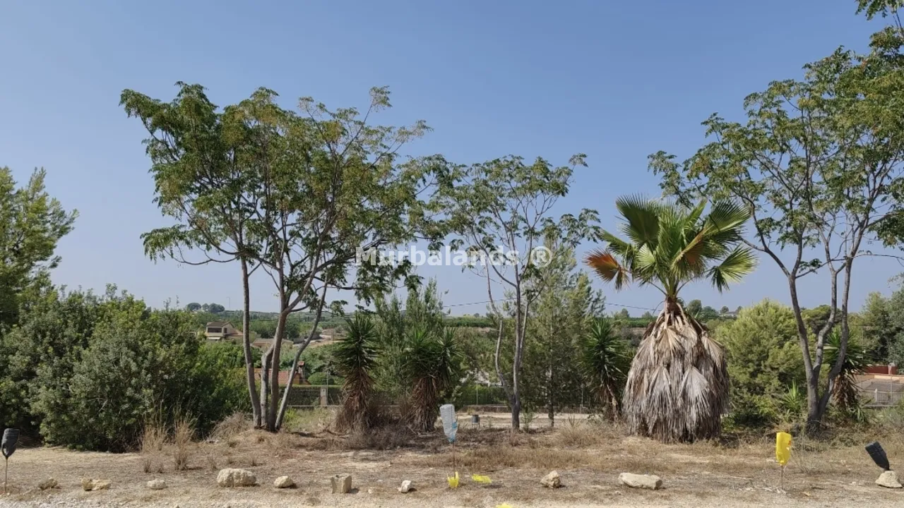 Foto de un terreno o una obra parada para mostrar en el detalle del inmueble