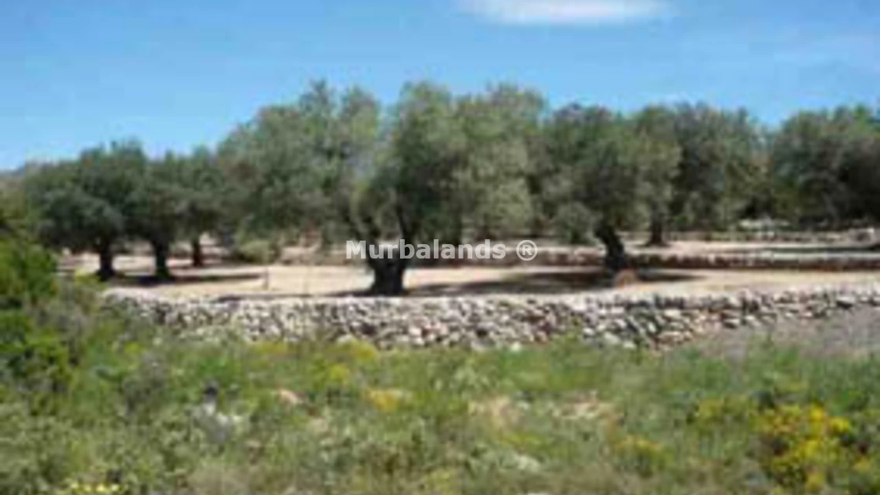 Foto de un terreno o una obra parada para mostrar en el detalle del inmueble