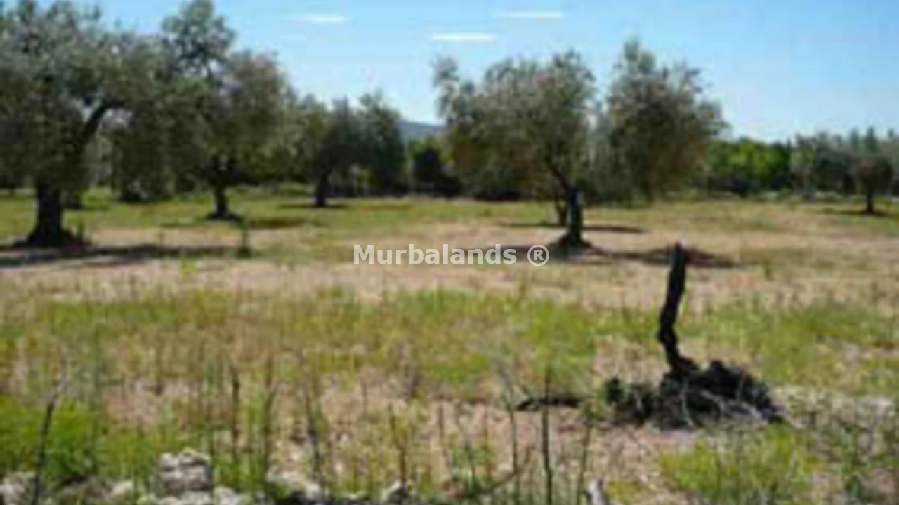 Foto de un terreno o una obra parada para mostrar en el detalle del inmueble