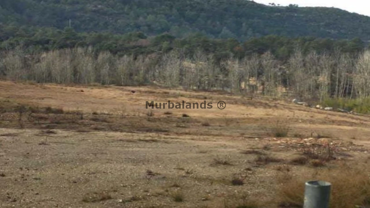 Terreno destacado