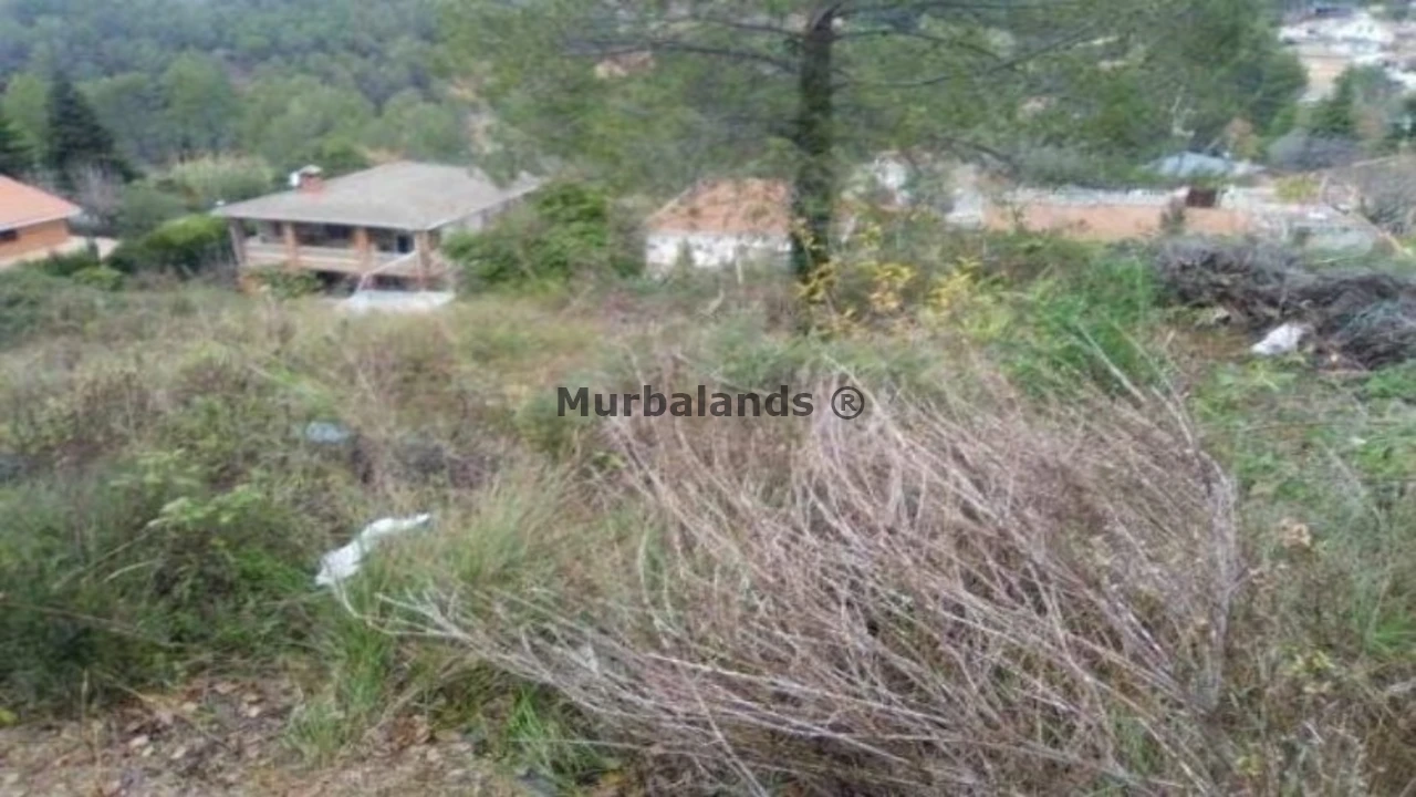 Terreno destacado