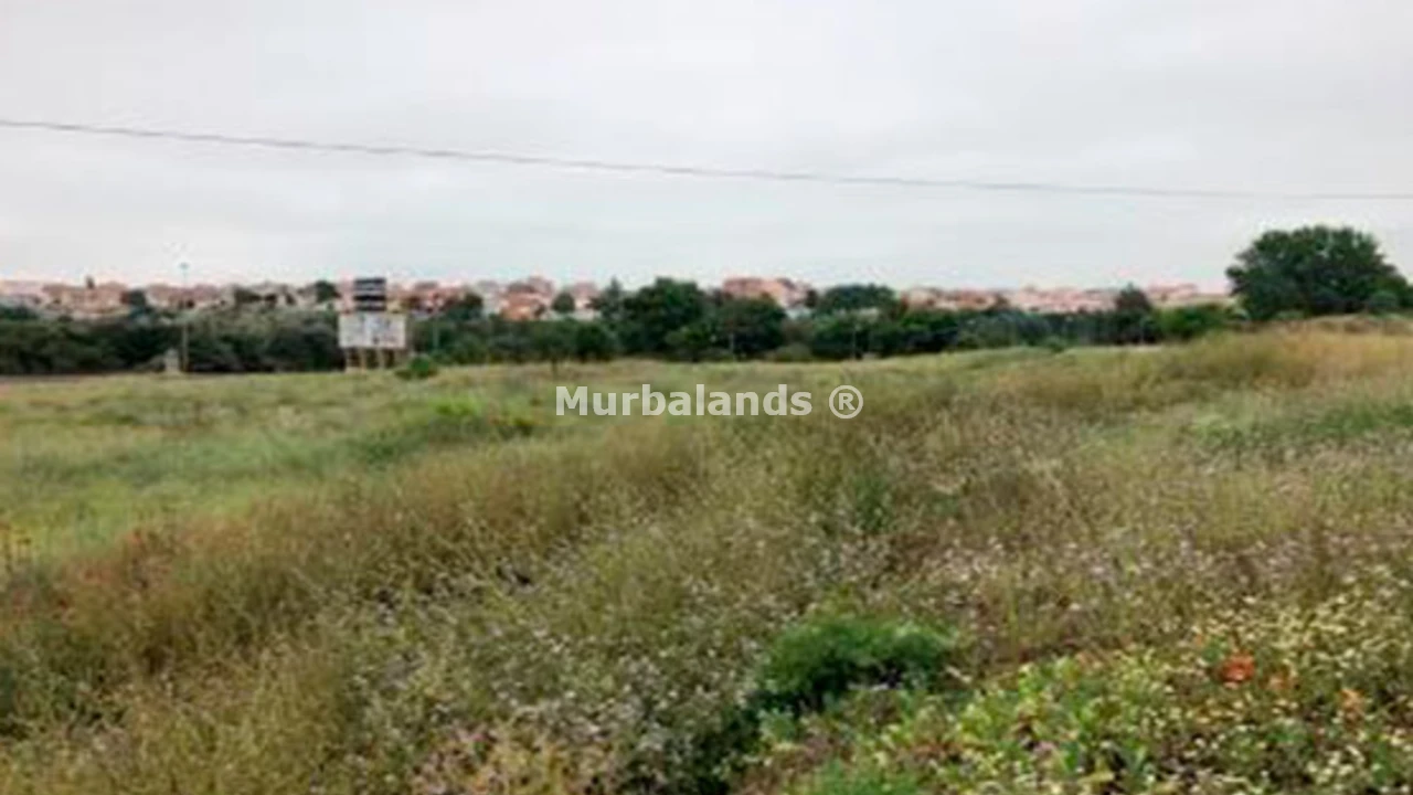 Terreno destacado