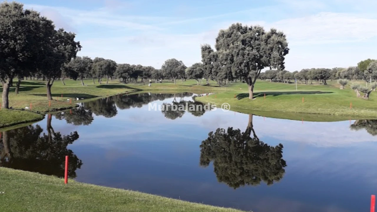 Foto de un terreno o una obra parada para mostrar en el detalle del inmueble