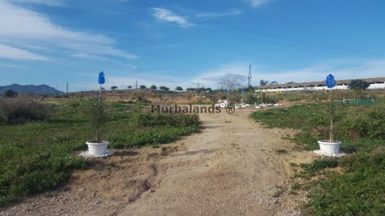 Foto de un terreno o una obra parada para mostrar en el detalle del inmueble