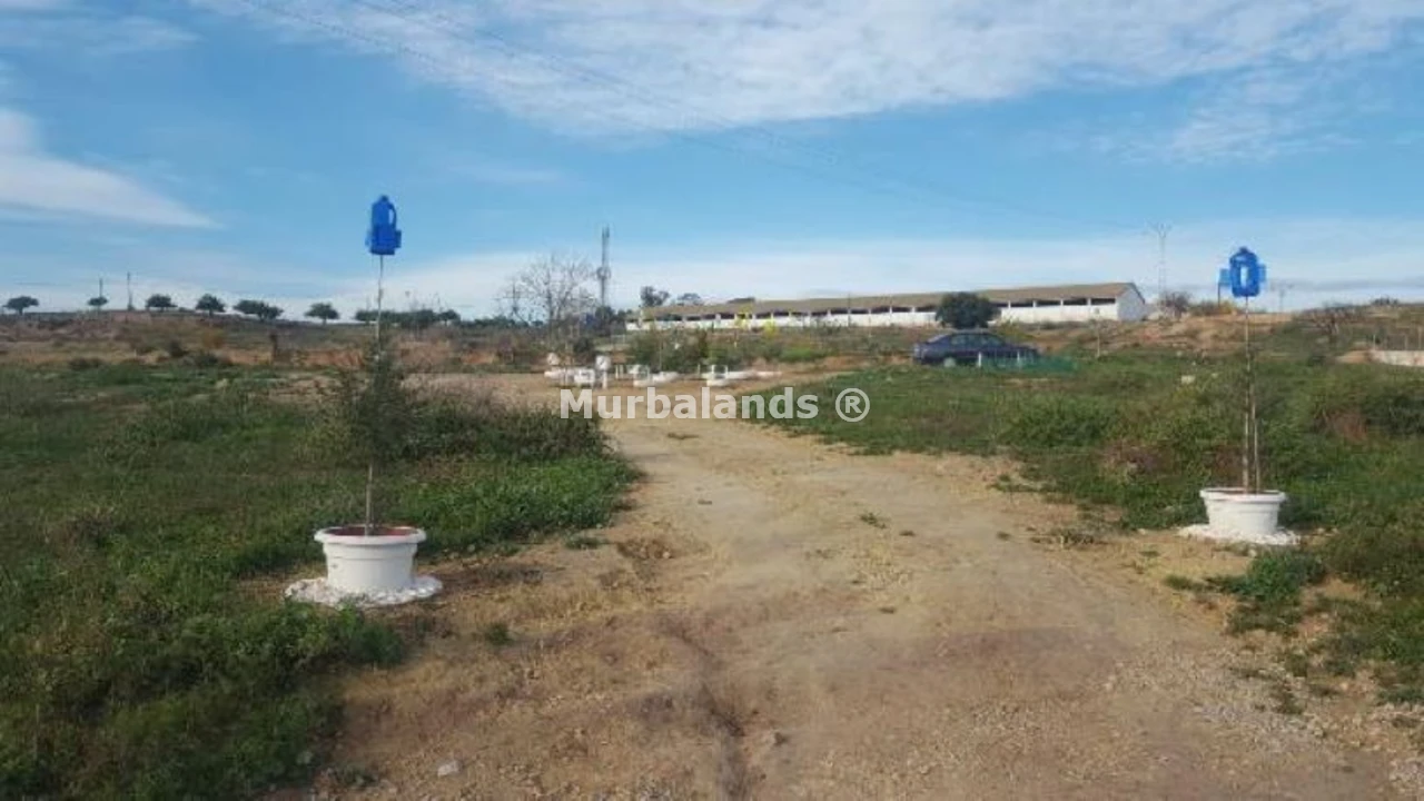 Foto de un terreno o una obra parada para mostrar en el detalle del inmueble