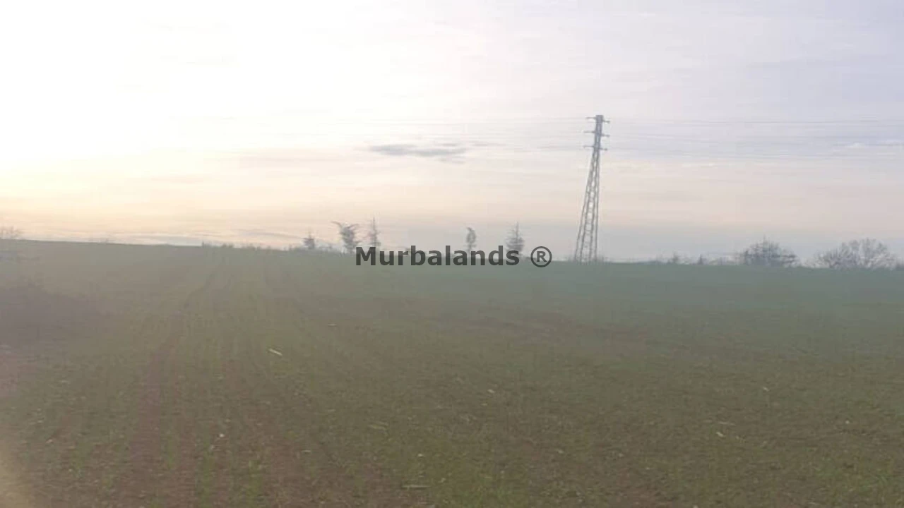Foto de un terreno o una obra parada para mostrar en el detalle del inmueble