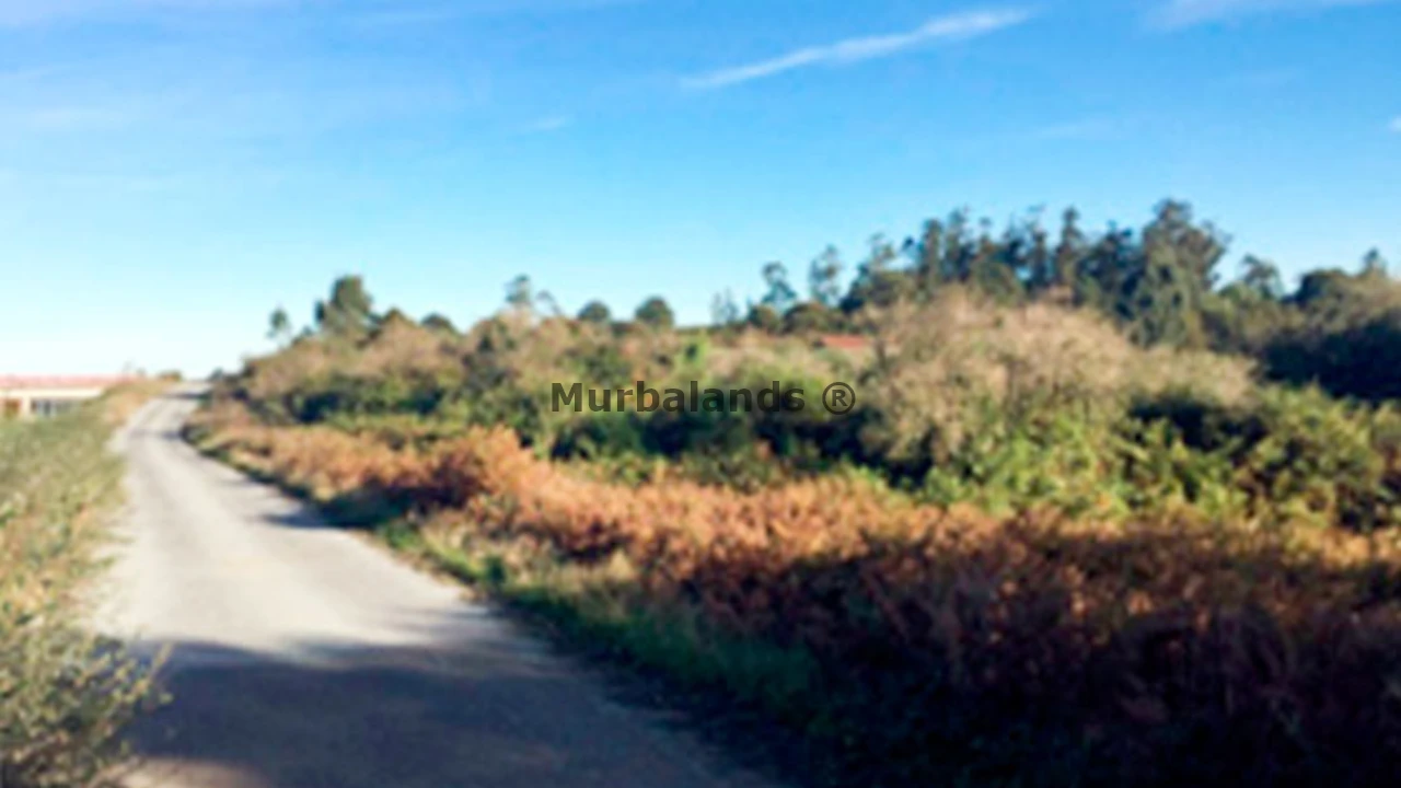Foto de un terreno o una obra parada para mostrar en el detalle del inmueble