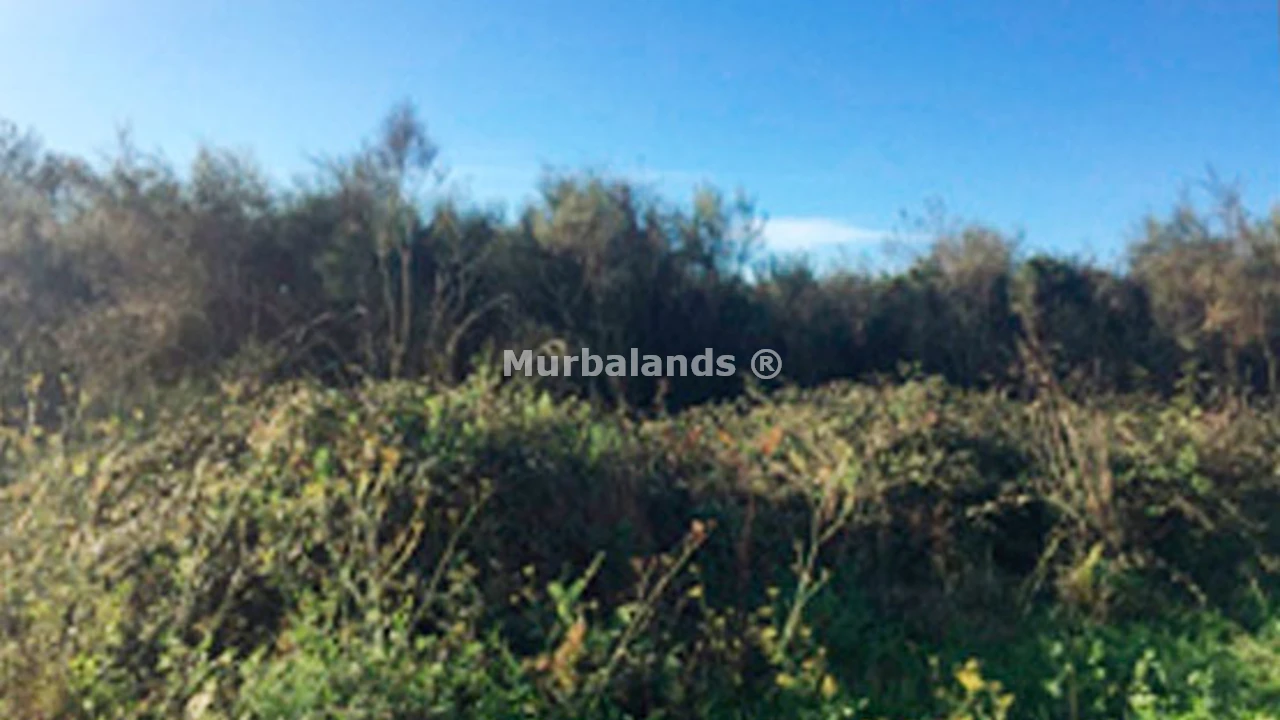 Foto de un terreno o una obra parada para mostrar en el detalle del inmueble