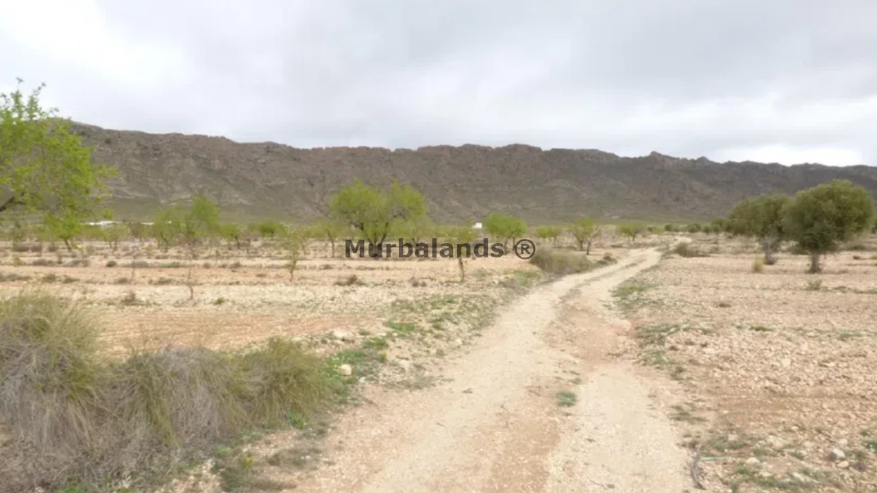 Foto de un terreno o una obra parada para mostrar en el detalle del inmueble