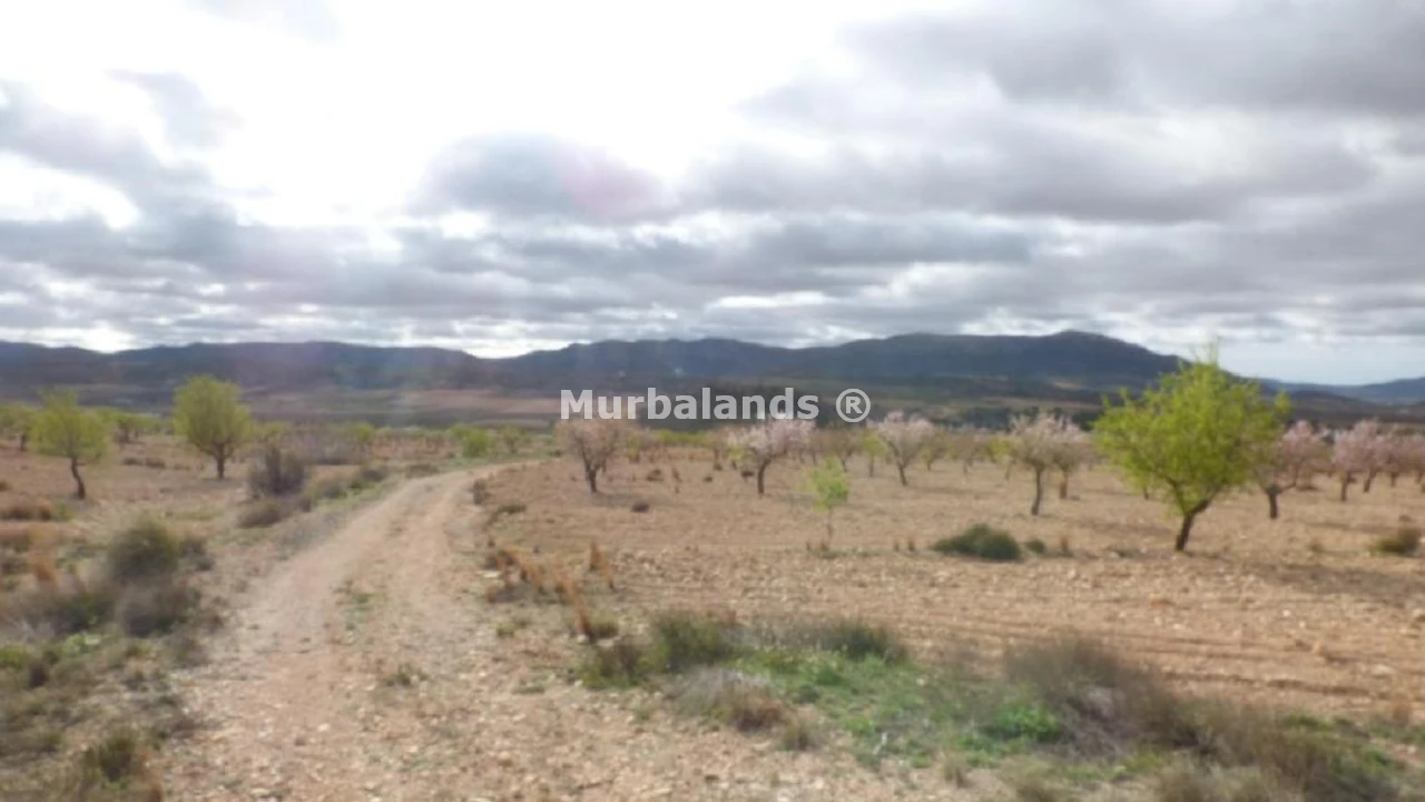Foto de un terreno o una obra parada para mostrar en el detalle del inmueble