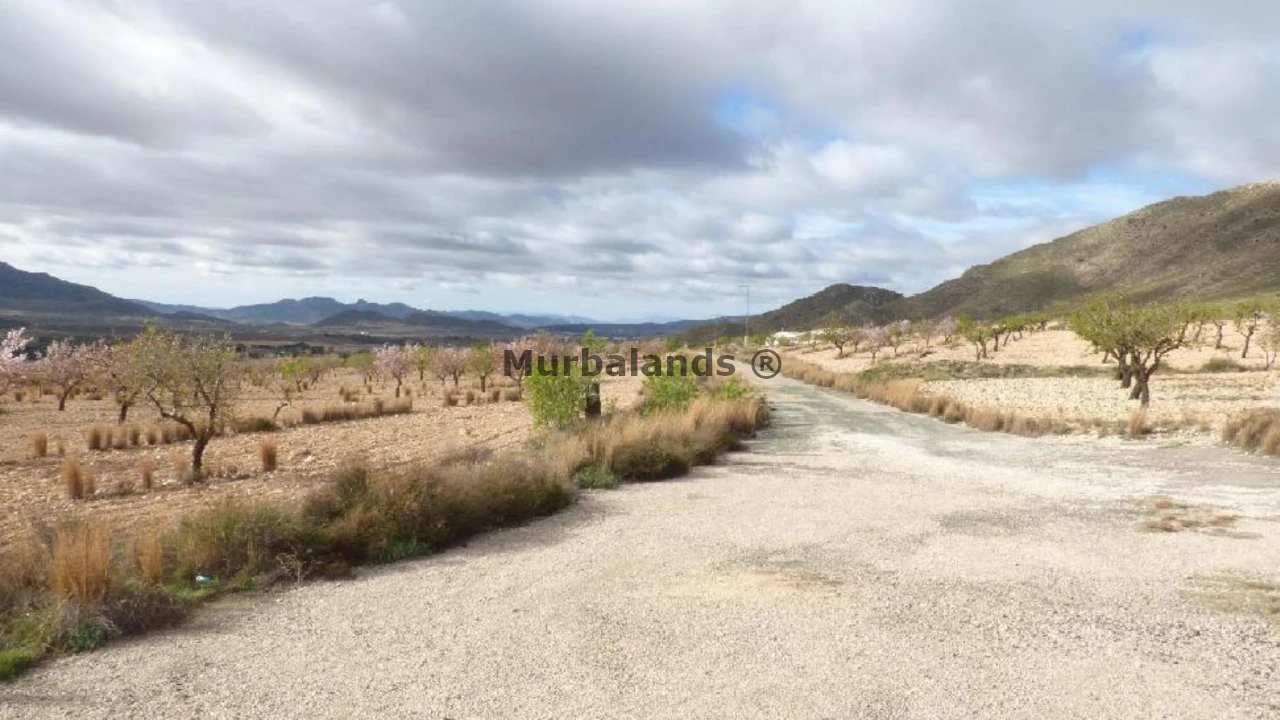 Foto de un terreno o una obra parada para mostrar en el detalle del inmueble