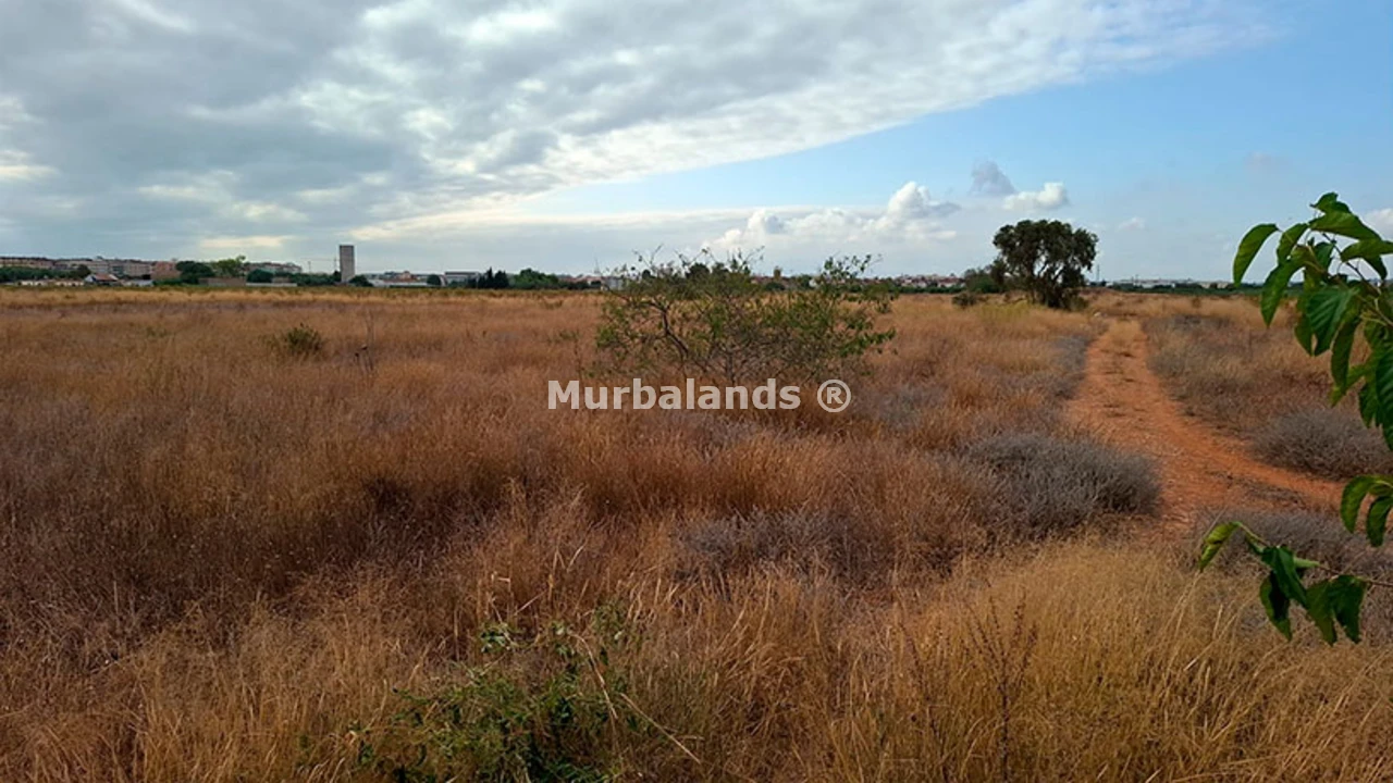Foto de un terreno o una obra parada para mostrar en el detalle del inmueble